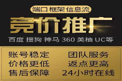 行业标杆的SEM竞价营销案例研究